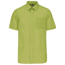 Verde lima